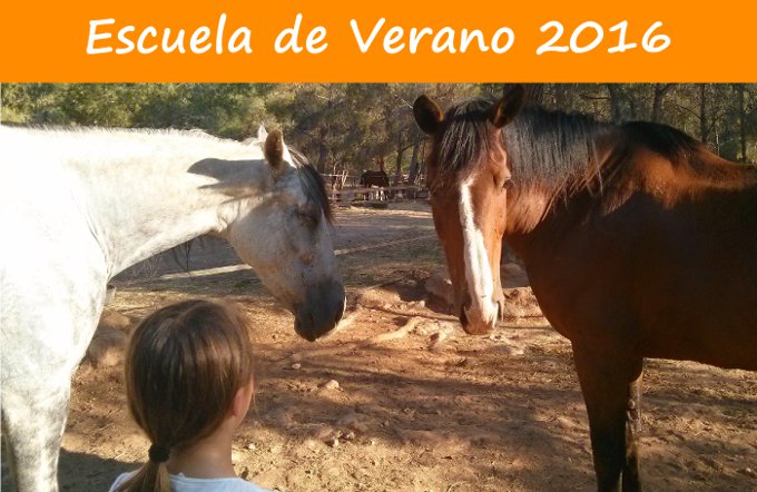 Escuela Ecuestre verano 2016 en la Hípica Rueda de Náquera Centro ecuestre de caballos en Valencia