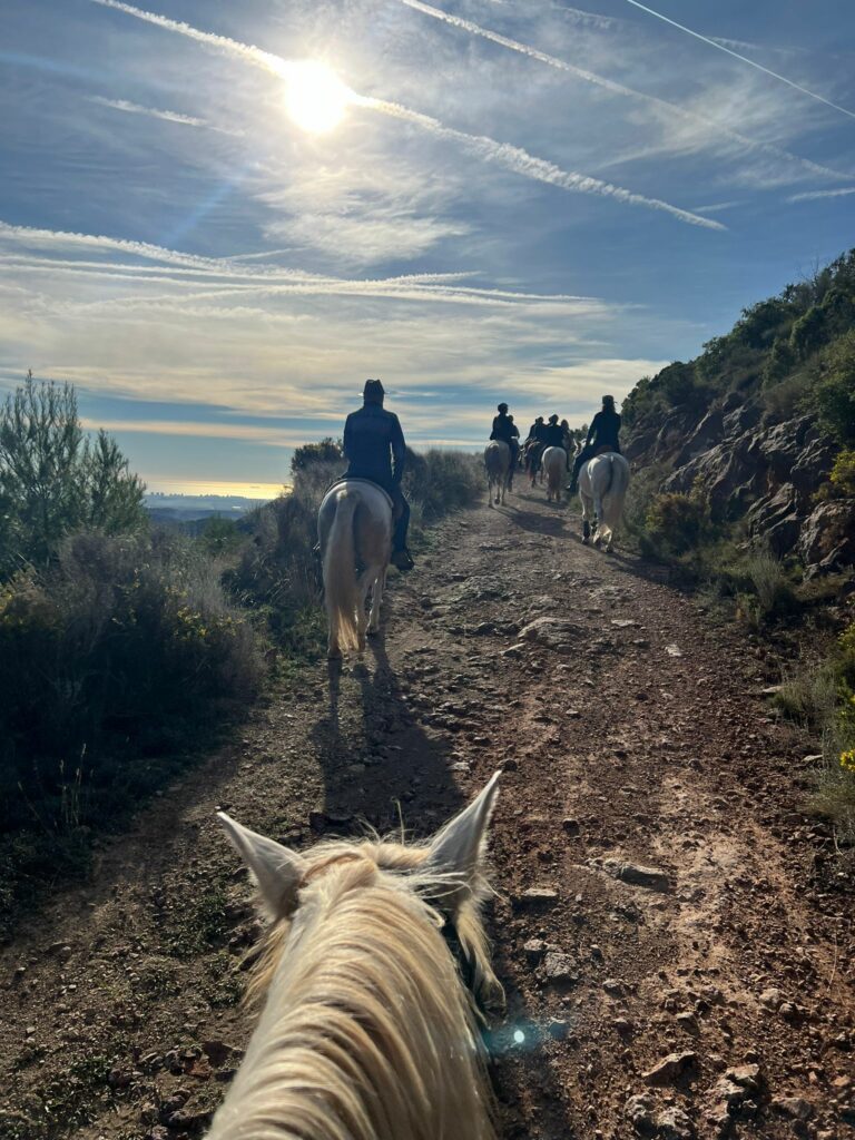 Paseo con caballos al atardecer por la Sierra Calderona con la Hípica Rueda de Náquera Valencia