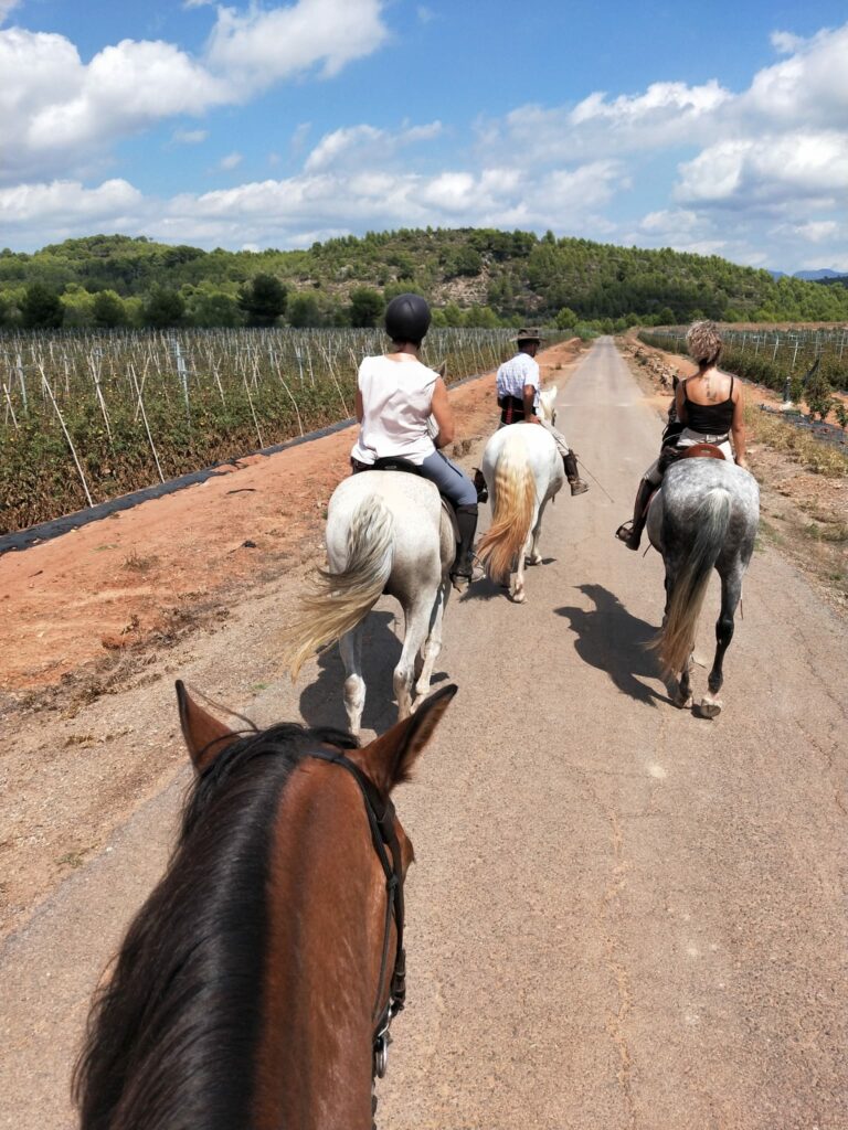 Paseo con caballos por la Sierra Calderona con la Hípica Rueda de Náquera Valencia
